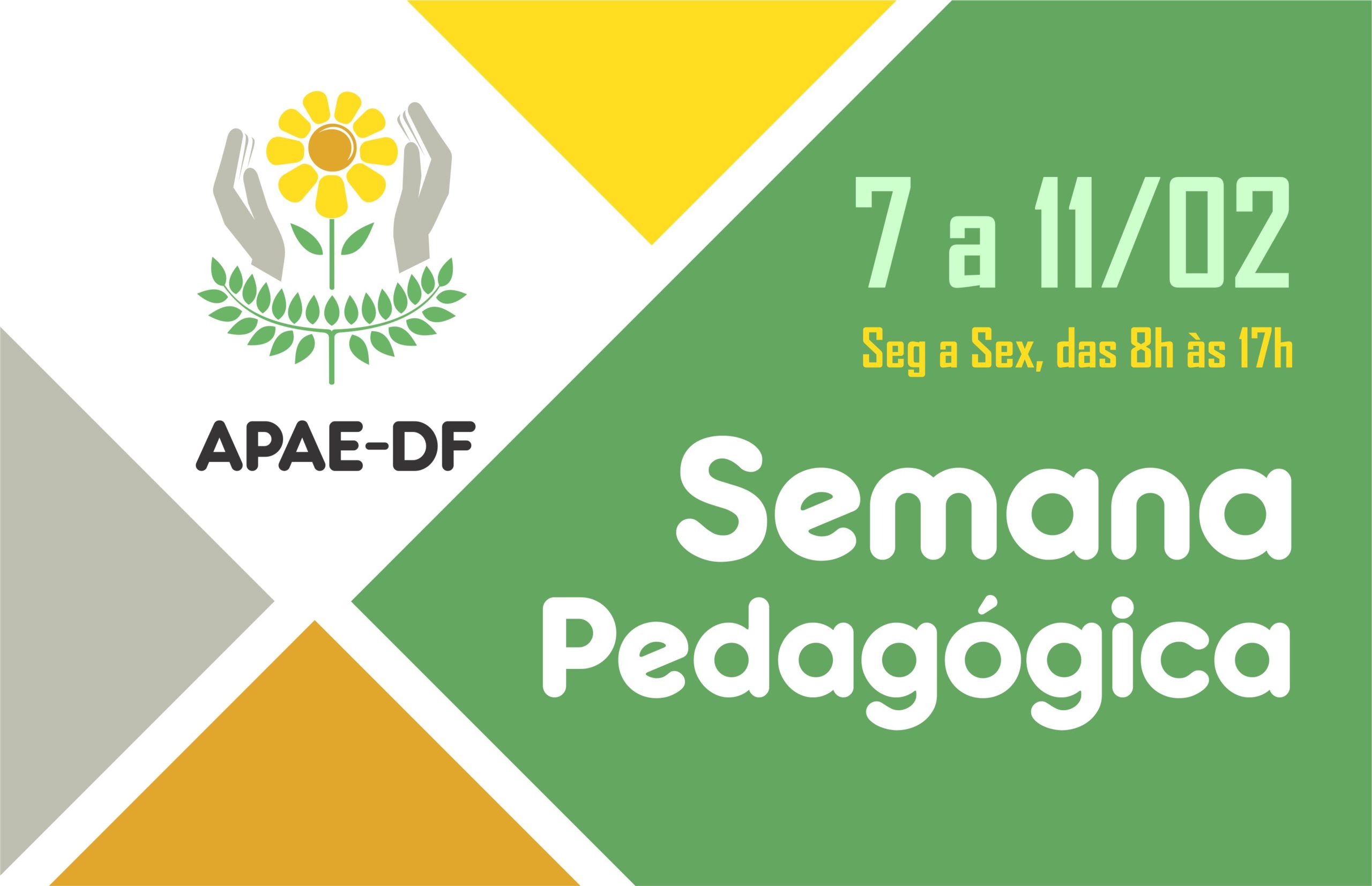 Read more about the article Semana Pedagógica da APAE-DF 2022