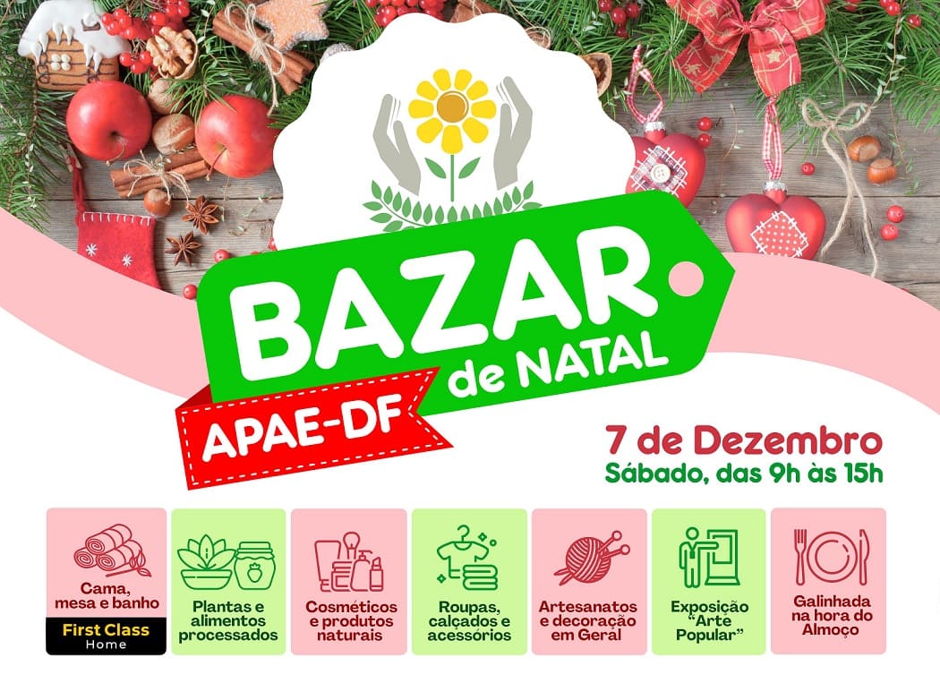 Read more about the article Dia 07 de dezembro tem Bazar de Natal da APAE-DF