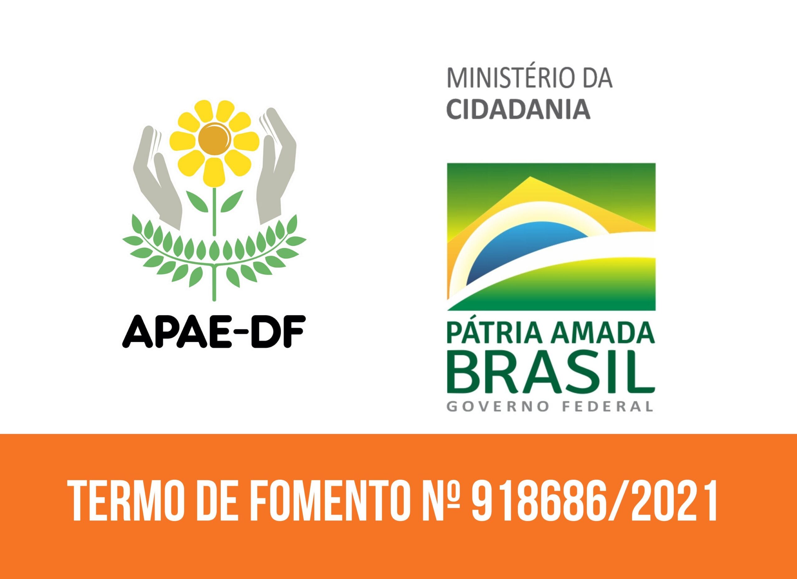 Read more about the article APAE-DF é contemplada por emenda parlamentar para instalação de academia inclusiva